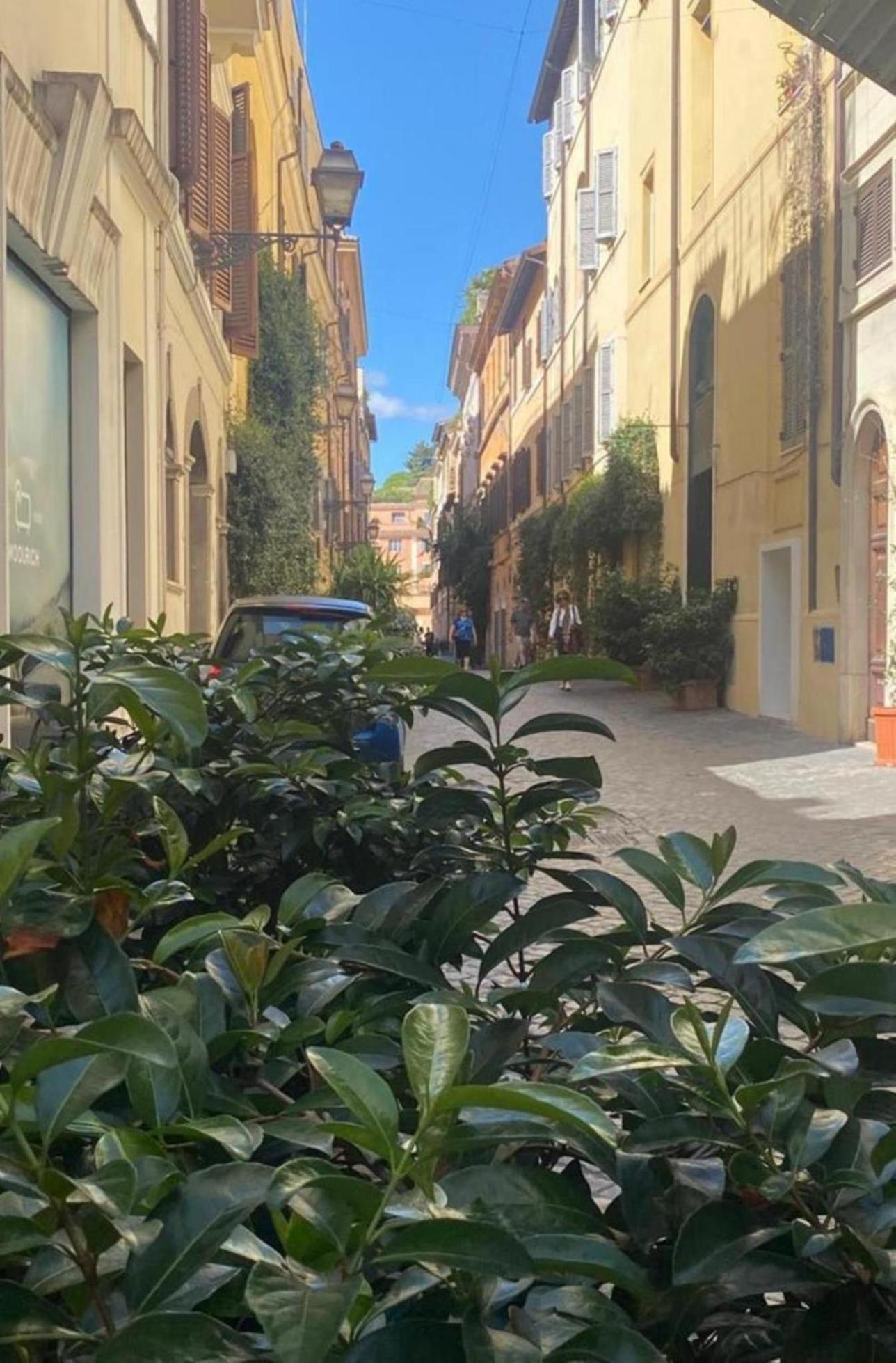 Margutta Domitia Apartment Rom