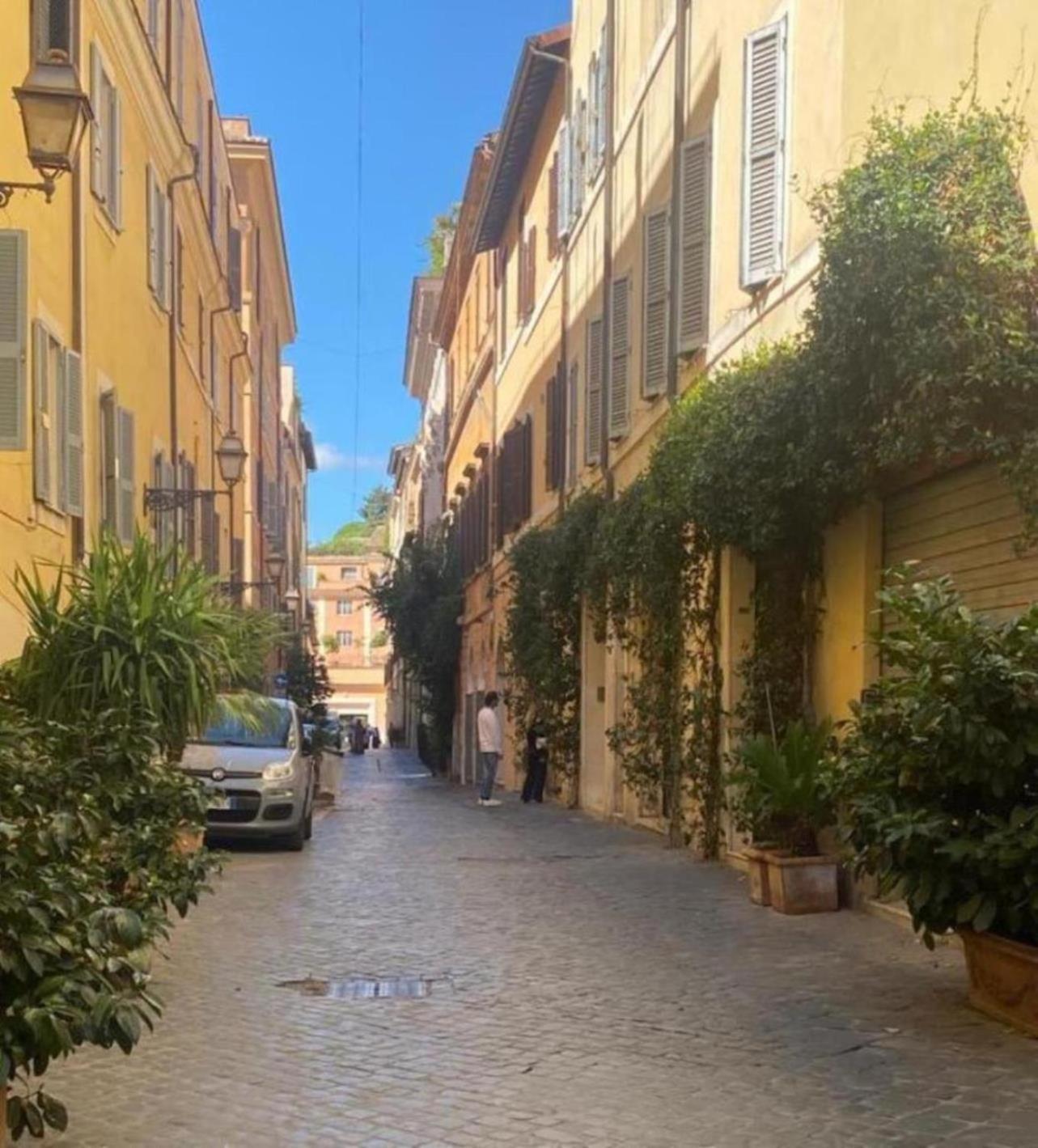 Apartment Margutta Domitia *